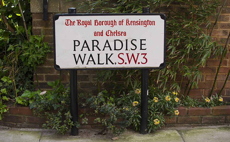 1804 Paradise Walk.jpg