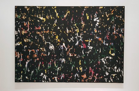 1805 Robert Bartlett Richenburg Night Cascade