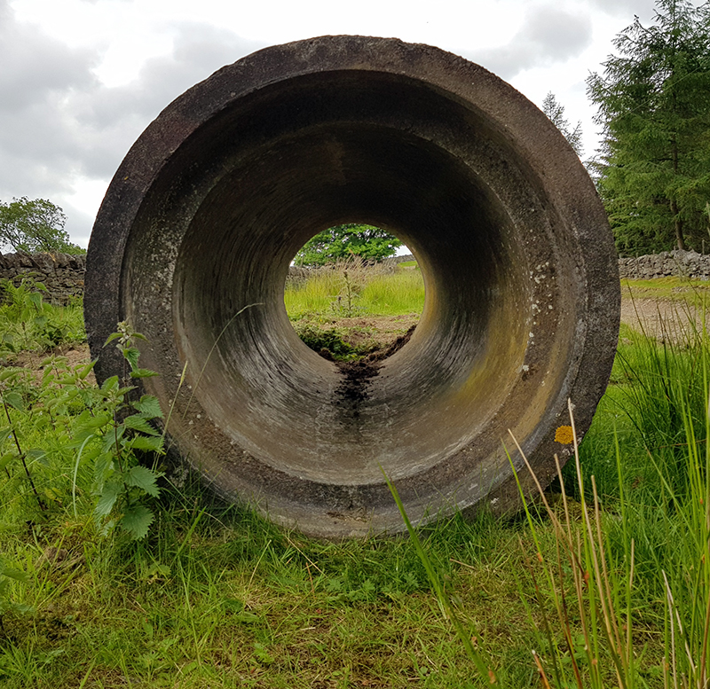 1806 Allendale walkabout