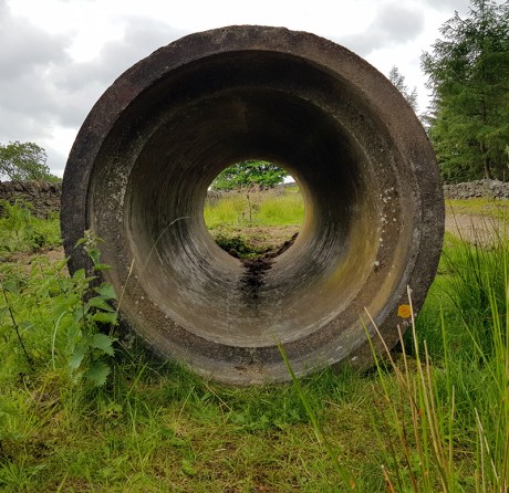 1806 Allendale walkabout