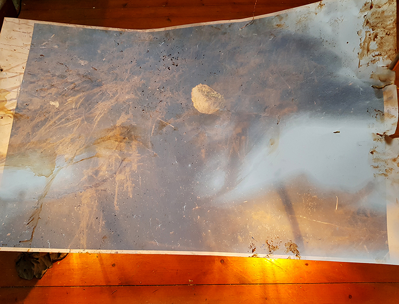 1807 Beyond Finale Weekend Alex Hughes (1)