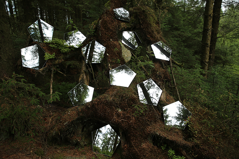 1807 Grizedale forest WIP.jpg