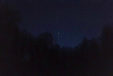 1807 Grizedale stargazing