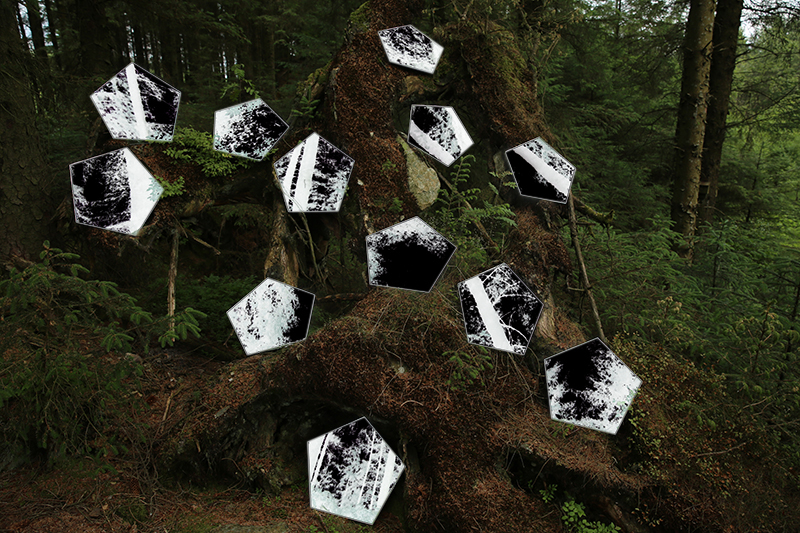 1807 Grizedale forest WIP 2