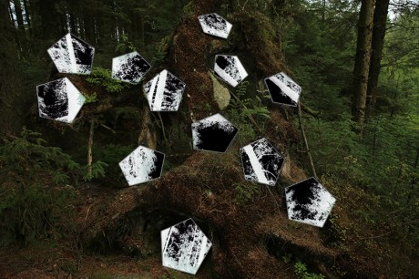 1807 Grizedale forest WIP 2