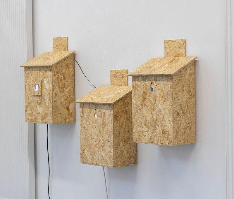 1809 Anthony Carr credit John Hooper