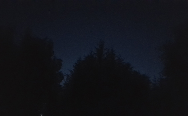 1809 Grizedale Forest