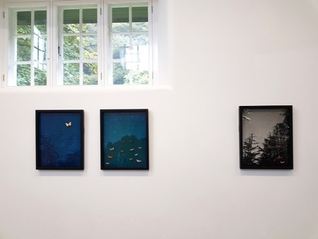 1809 William Arnold 2