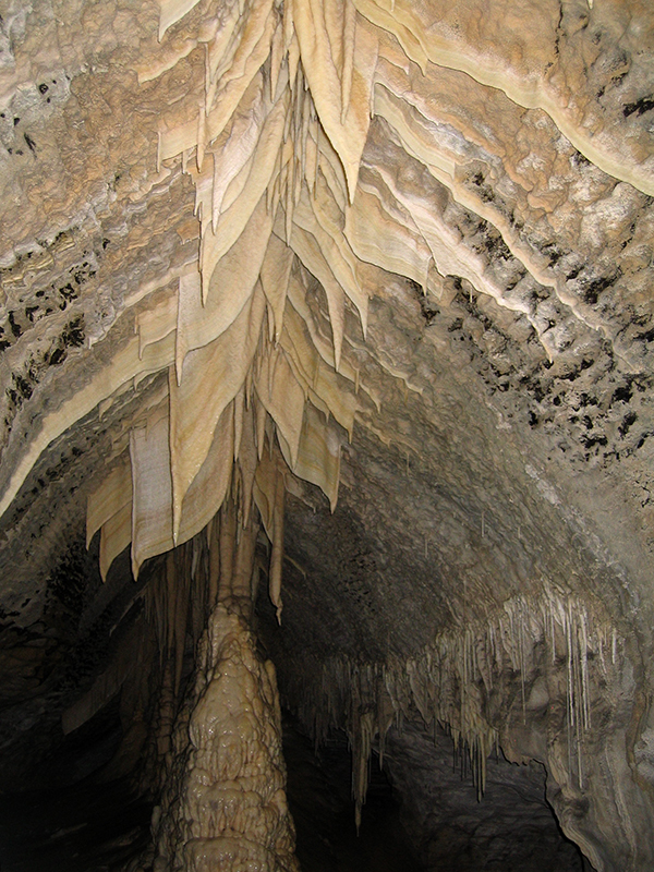 1811 Charleston caverafting