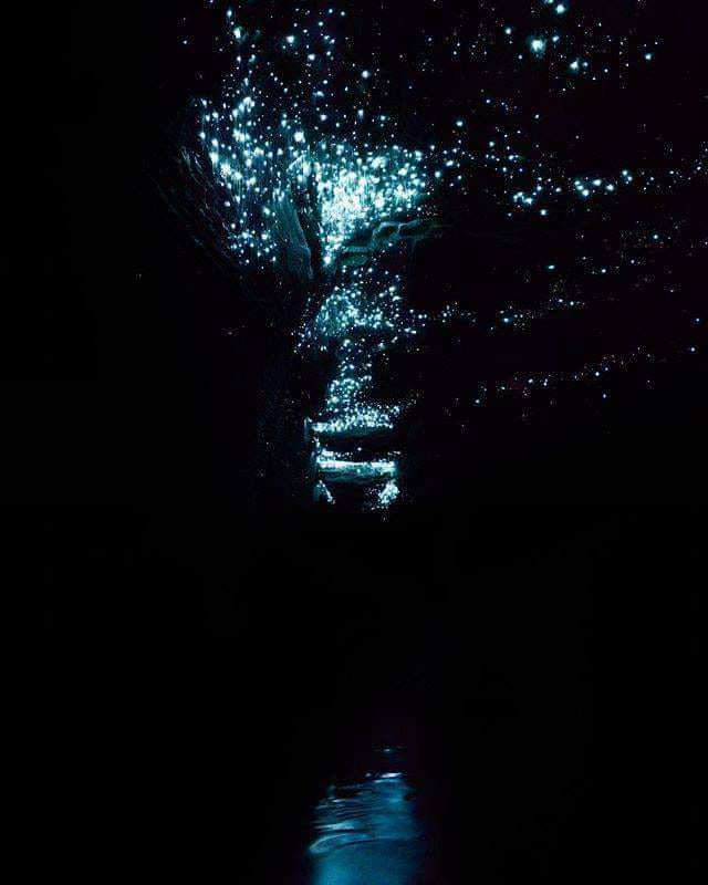 1811 Charleston glow worm caves