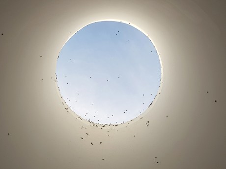 1901 pierre huyghe (1)