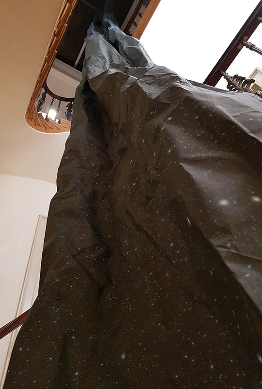 1901 Julie F Hill (1)