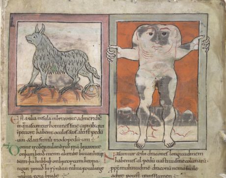 1902 Marvels-of-the-East-from-a-collection-of-geographical-astronomical-and-other-texts_credit-British-Library-.jpg