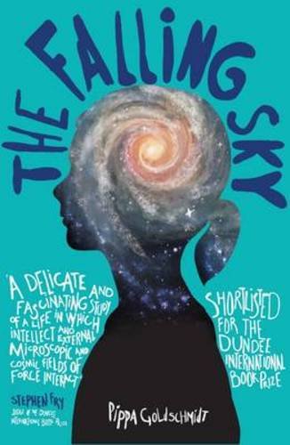 1902 The Falling Sky - Pippa Goldschmidt