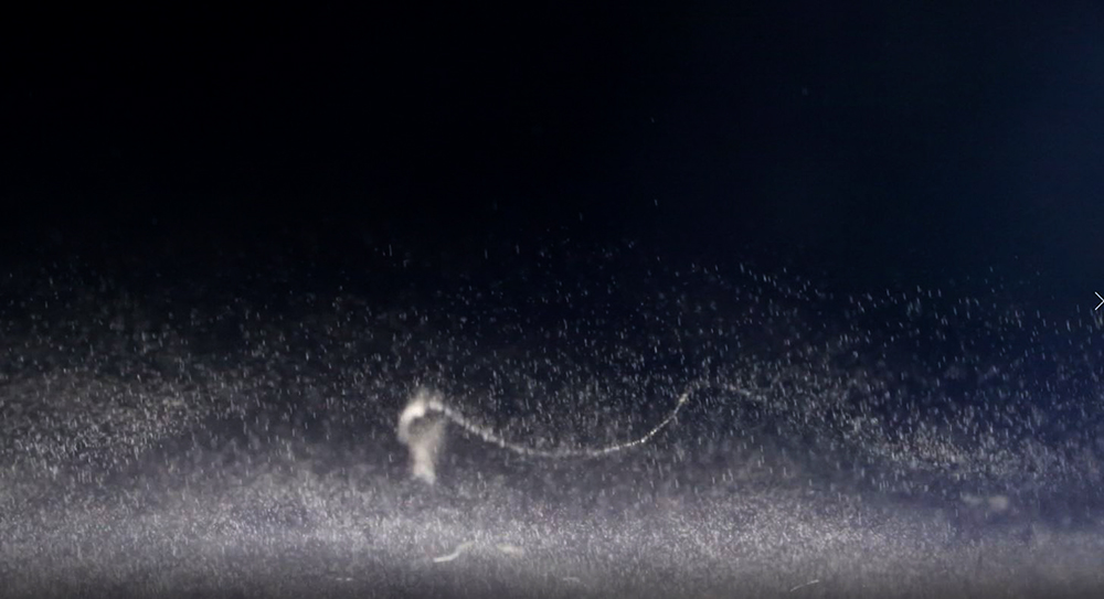 1903 particle trail 3