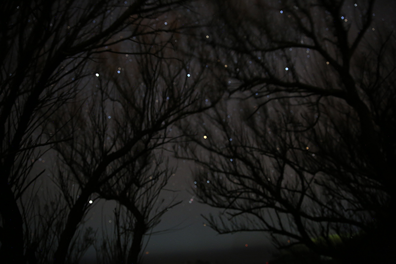 1903 astrophotography