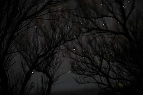 1903 astrophotography