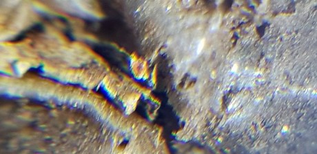 1903 microscope silver foil