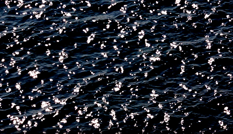 1903 scintillating sea.JPG