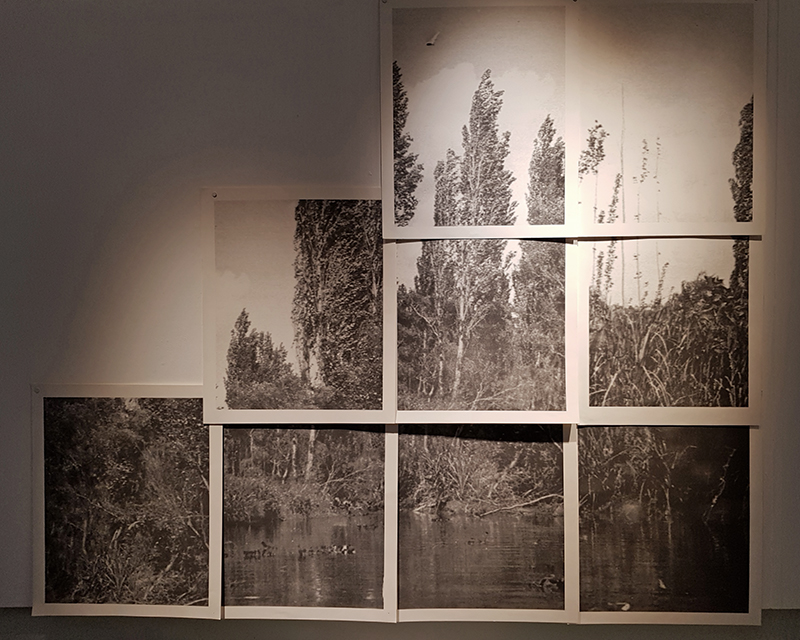 1904 Another Land Victoria Ahrens