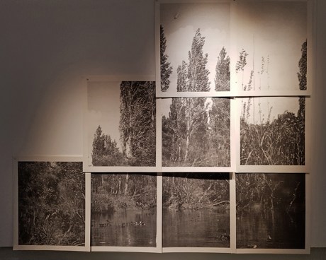 1904 Another Land Victoria Ahrens