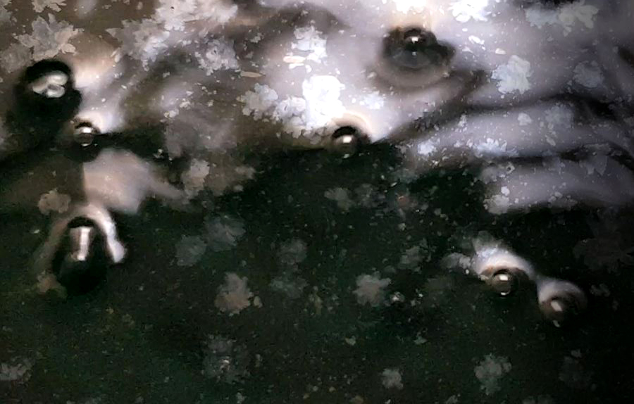 1904 sugar lift etch