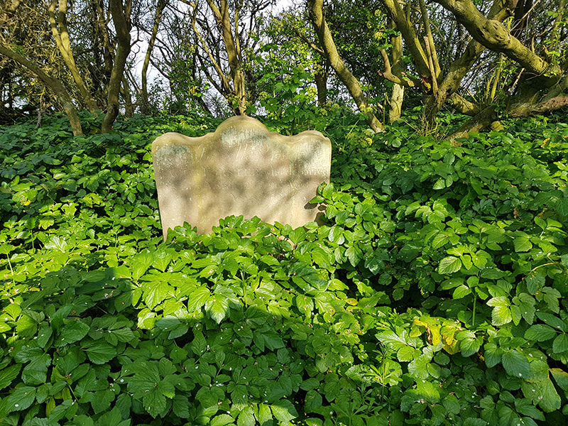 1904 the last grave Dunwich