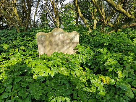 1904 the last grave Dunwich