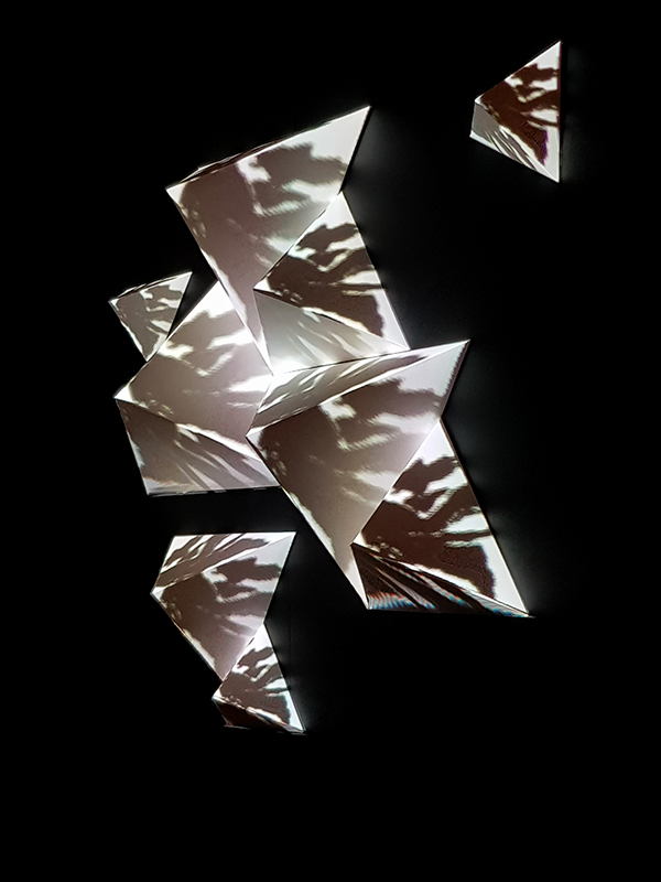 1904 Ugly Duck Anamorphic waves (1)