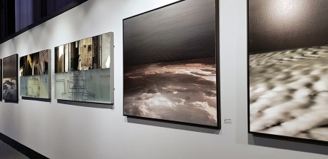 19052 insatiable mind Katayoun Dowlatshahi