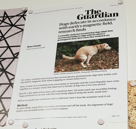 1908 Olafur Eliason magnetic field