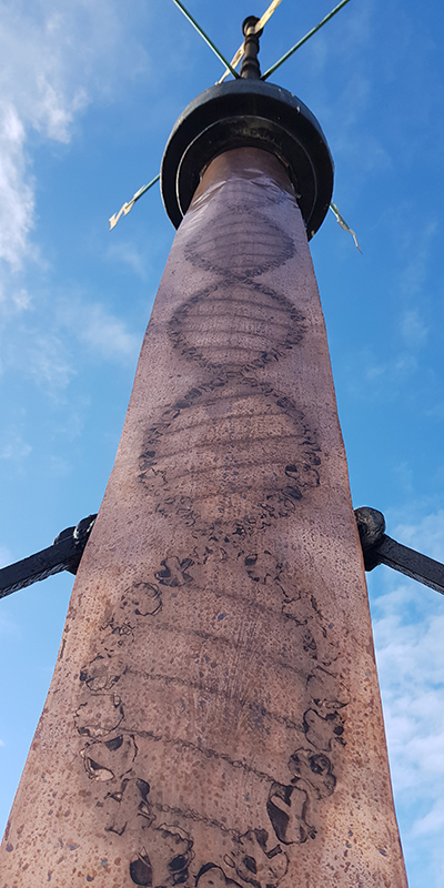 1909 Carol Wyss Osmosis