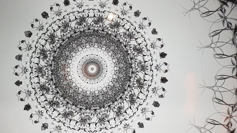 2002 habitat of time