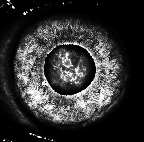 2002 iris for etching