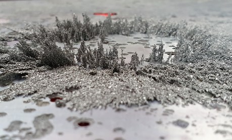 2002 magnetoreceptor wip 1