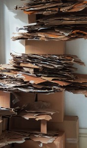 2002 manifold Gina DeCagna