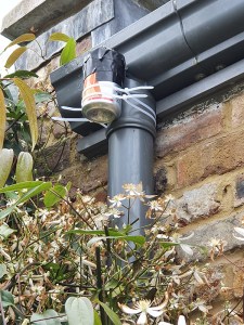 2003 pin hole solargraphy