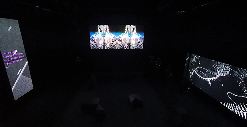 2010 Elizabeth Price 3